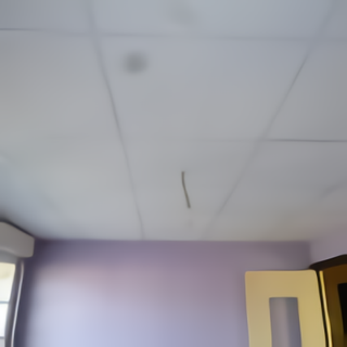Faux plafond isolant appartement 2
