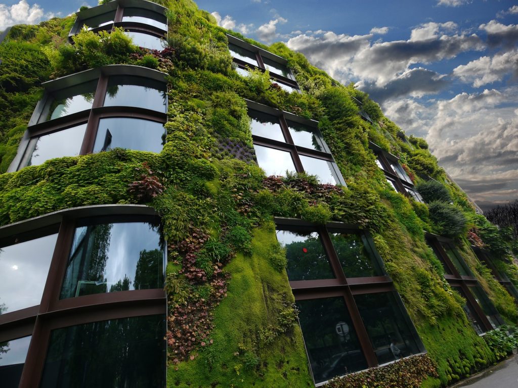vegetation-pour-proteger-facade-maison